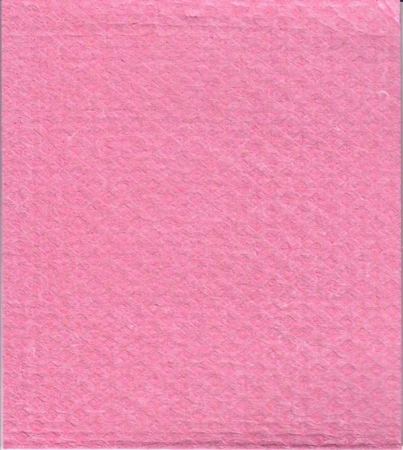 Éponge cellulose unie