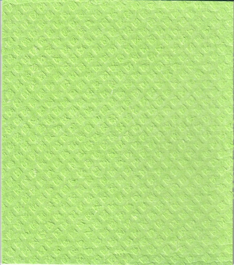 Éponge cellulose unie