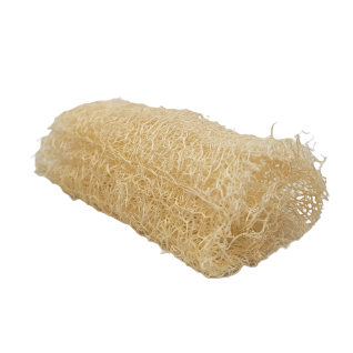 Luffa bio du Québec 😍🌱 - Grade 1, format petit