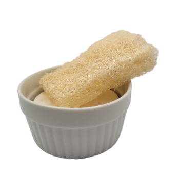 Luffa bio du Québec 😍🌱 - Grade 1, format petit