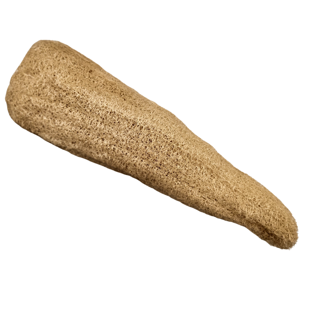 Éponge luffa entière