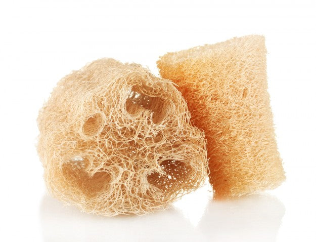 Éponge Loofah éponge végétale et écologique pour la vaisselle