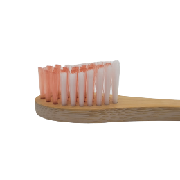 Brosse à dents en bambou pour chien et chat