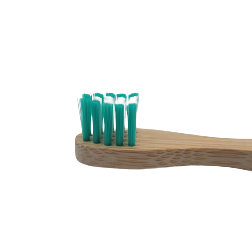 Brosse à dents en bambou pour chien et chat