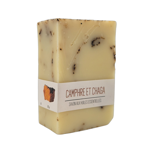 Savon camphre et chaga